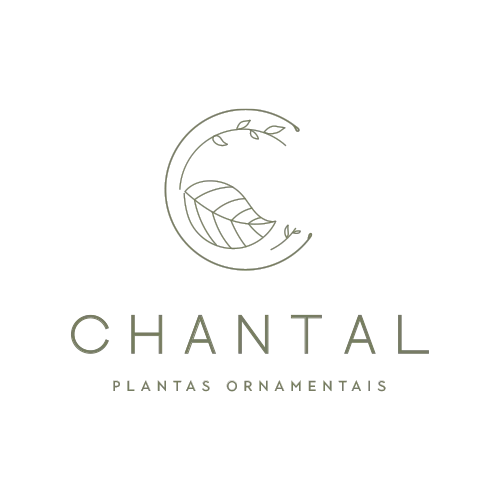Logo Cliente