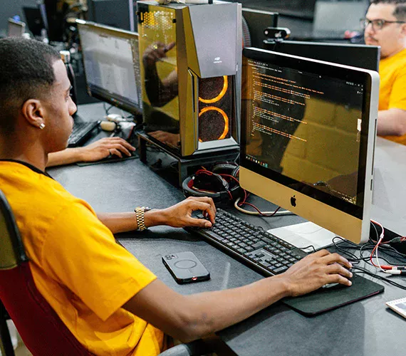 Ilustração Site e E-commerce